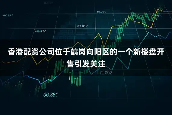 香港配资公司位于鹤岗向阳区的一个新楼盘开售引发关注