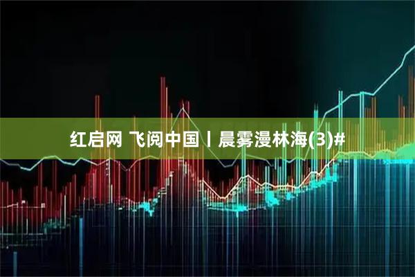 红启网 飞阅中国丨晨雾漫林海(3)#